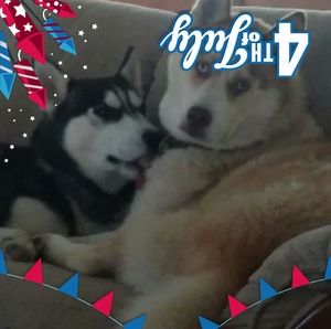 Meet your Posher, Todd